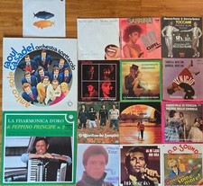 Lotto dischi vinile usato  Putignano
