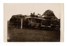Kids children hay for sale  Sturgeon Bay
