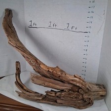 Driftwood natural aquarium for sale  Brookwood