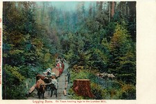 Postcard logging scene for sale  Redding