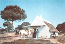 Camargue maison jeu d'occasion  France