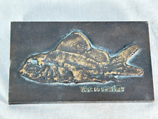 Strassacker dinosaurier bronze gebraucht kaufen  Rüsselsheim am Main