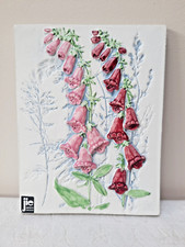 Jie gantofta foxgloves for sale  ESHER
