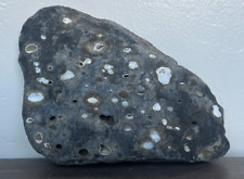 Holed dotted rock for sale  USA