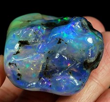 190.5ct african polished for sale  Walnut