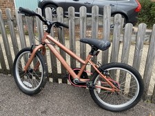 Apollo glitz kids for sale Apollo glitz kids for sale  BEDFORD