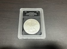 2010 American Eagle dólar de prata brilhante não circulado comprar usado  Enviando para Brazil