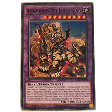 Amazoness pet liger for sale  PONTEFRACT