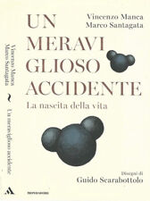 Meraviglioso accidente. nascit usato  Italia