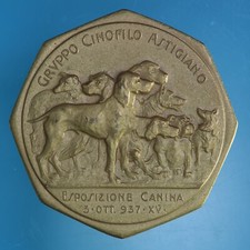 Asti gruppo cinofilo usato  Firenze
