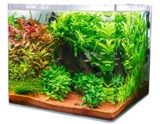 Dupla cube 80l gebraucht kaufen  Erlangen