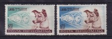 Rumänien 1957 hündin gebraucht kaufen  München