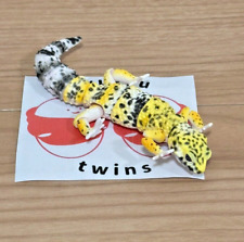 Bandai leopard gecko d'occasion  Expédié en Belgium