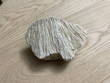 Shatter cone strahlenkalk gebraucht kaufen  Heidenheim an der Brenz