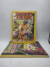 Tarzan collezione albi usato  Sezze