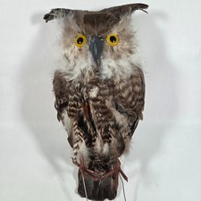 Vintage feather owl for sale  Lititz