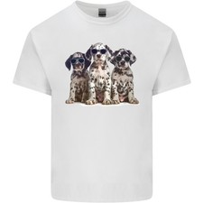 Chouettes chiens dalmatien d'occasion  Expédié en France