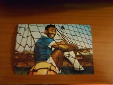 Pele figurina mondiali usato  Torino