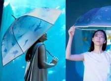 Enoshima aquarium wpc d'occasion  Expédié en Belgium