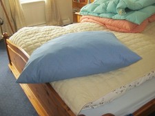 Grosses blaues kopfkissen gebraucht kaufen  Rosenfeld