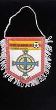 Coupe monde irish for sale  NORWICH