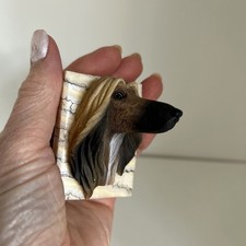 Small afghan hound for sale  BIRMINGHAM