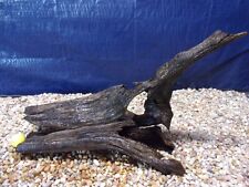 Large driftwood aquarium for sale  Portland