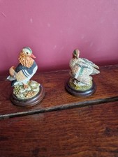 Country artists ducks for sale  GRAVESEND