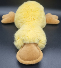 Nici ente liegend gebraucht kaufen  Nordstemmen