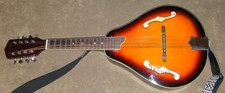 Willem mandolin for sale  Berlin