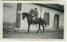 Photo ancienne animal d'occasion  Paris XI