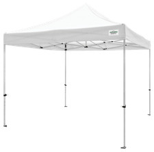 Caravan canopy sports for sale  Rogers