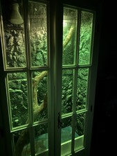 Bespoke reptile vivarium for sale  GRIMSBY