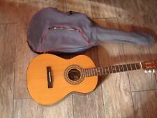 Melody guitars chitarra usato  Ragalna