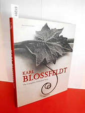 Karl blossfeldt the gebraucht kaufen  Stuttgart