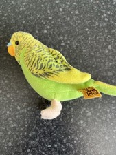 Living nature budgie for sale  BENFLEET