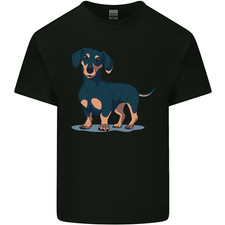 Dachshund dog mens for sale Dachshund dog mens for sale  COVENTRY