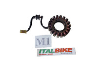 Statore kawasaki 1500 usato  Roma