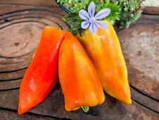 Feher paprika ungarn gebraucht kaufen  Waigolshausen