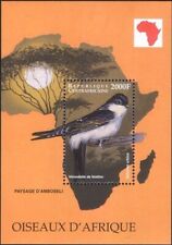 Africa centrale 1999 usato  Trambileno