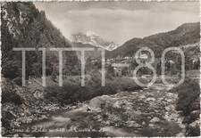 FORNO DI ZOLDO m.848 COL CIVETTA - VAL DI ZOLDO (BELLUNO) 1951 comprar usado  Enviando para Brazil