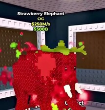 Strawberry elephant steal d'occasion Strawberry elephant steal d'occasion  Limoges-