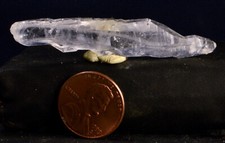009 faden quartz for sale  Mesa