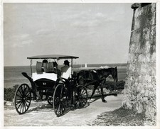 Horse drawn cart for sale  Cape Coral