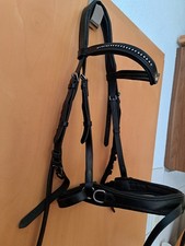 Kombi zaumzeug kombi gebraucht kaufen  Vordorf