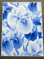 Blue iris garden for sale  House Springs