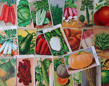 Vintage french vegetable d'occasion  Expédié en Belgium