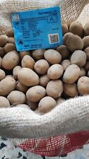 Patate seme olandese usato  Decollatura