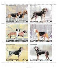 Basset cani caccia usato  Spedire a Italy
