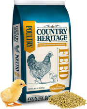 heritage breed chickens for sale  Denver